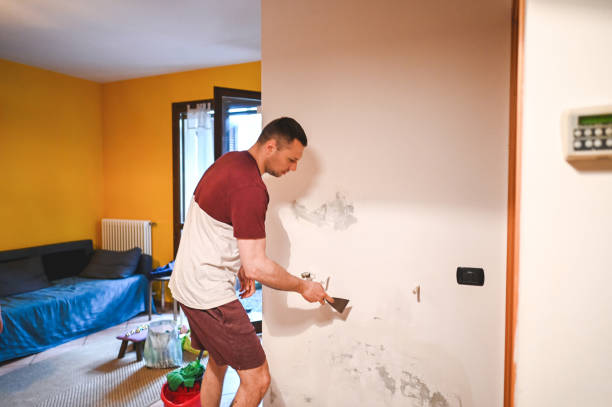 Best Bathroom Mold Remediation in North Fort Myers, FL